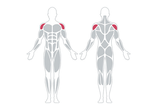 Жим от плеч INTENZA DL-04