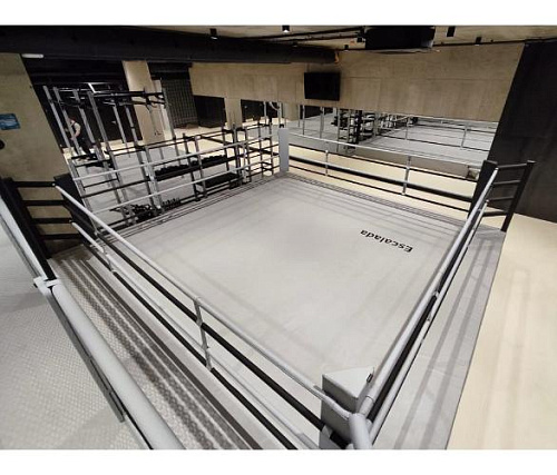 Ринг боксерский Targex на помосте 0,5 м 500х500х50