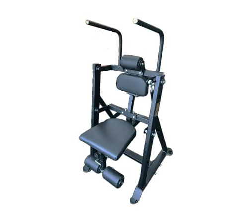 Нагружаемый дисками тренажер Bronze Gym PARTNER BGR-816 Купить Нагружаемый дисками тренажер Bronze Gym PARTNER BGR-816 в Москве