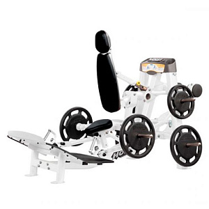 Купить Силовой тренажер Hoist RPL-5356 (Free Weights) в Москве