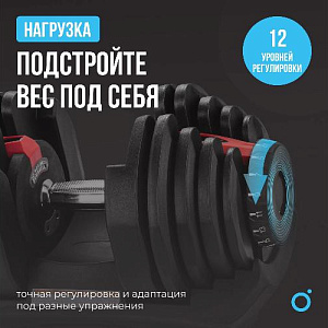 Купить Oxygen FLEXER гантель регулируемая 40 кг в Москве