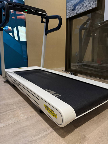 Беговая дорожка Technogym Myrun Dior