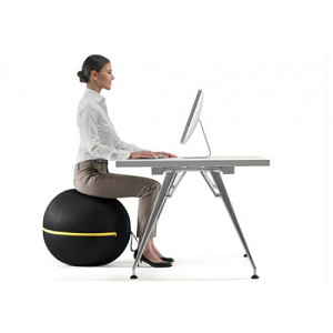 Купить Technogym Wellness Ball – Active Sitting	 в Москве