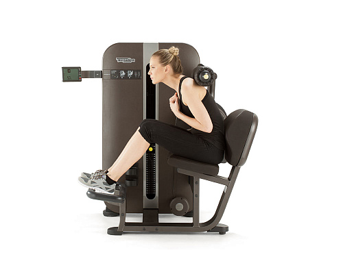 Гиперэкстензия Technogym Artis Lower Back