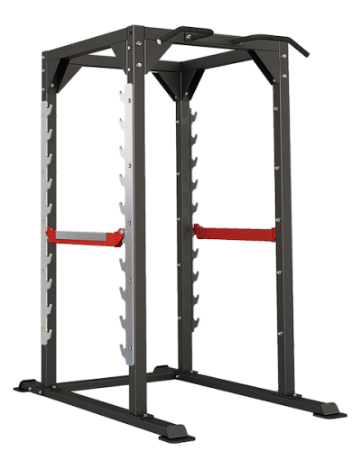 Купить Силовая рама для жимов и приседов Smith Fitness Excellence DH010 в Москве