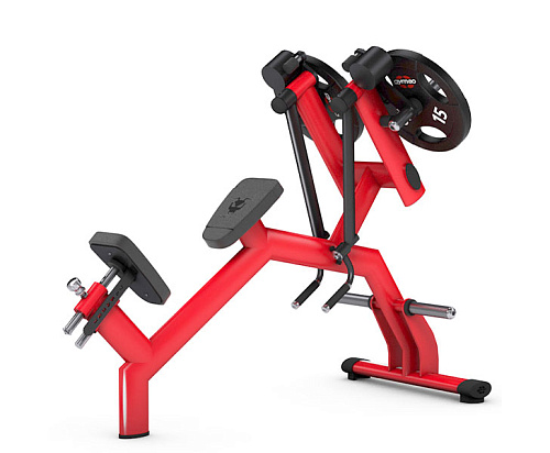 Задняя дельта с независимыми рычагами Gym80 4344 (50мм) Купить Задняя дельта с независимыми рычагами Gym80 4344 (50мм) в Москве