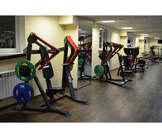 Жим от груди с независимыми рычагами Aerofit Impulse SL7001 фото2