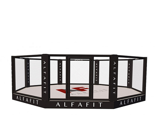 Купить Октагон тренировочный AlfaFit на техническом помосте высотой 0,3 м в Москве