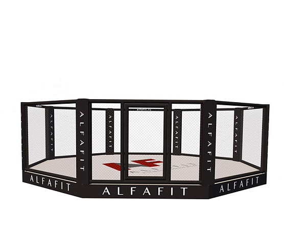 Октагон тренировочный AlfaFit на техническом помосте высотой 0,3 м