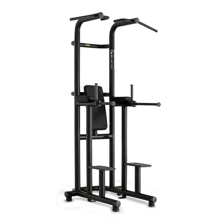 Technogym Chin Up Dip Leg Raise — фото 1