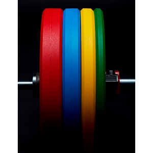 Купить Набор дисков бамперных Ziva в Москве