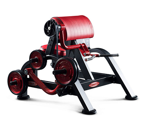 Купить Бицепс Panatta FreeWeight Special 1FW351 в Москве