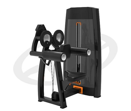 Грузоблочный тренажер на верхнюю часть тела Oxide Fitness F003 дельт-машина (махи в стороны)