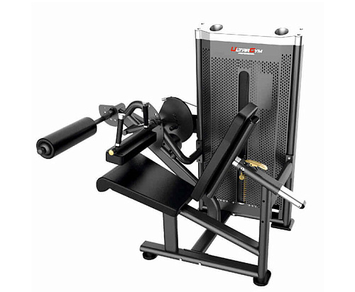 Купить Сгибание ног сидя Ultra Gym UG-IN1919 в Москве