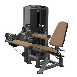 Купить Силовой тренажер True Fitness SPL-0200 Сгибание ног сидя в Москве