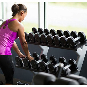 Купить Силовой тренажер Precor Discovery Line DBR 812 в Москве