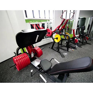 Купить Нагружаемый дисками тренажер Aerofit Impulse SL7006 Жим ногами в Москве