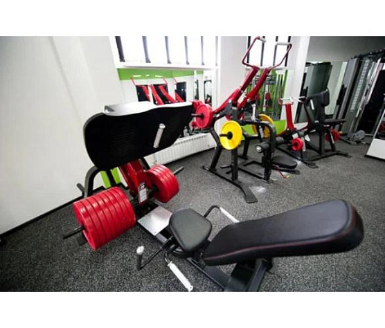 Жим ногами Aerofit Impulse SL7006 фото3