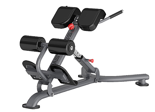 Купить Гиперэкстензия наклонная Hasttings Digger HD010-4 в Москве