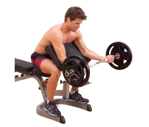 Купить Опция парта на бицепс Body Solid Powerline PPCA11 в Москве