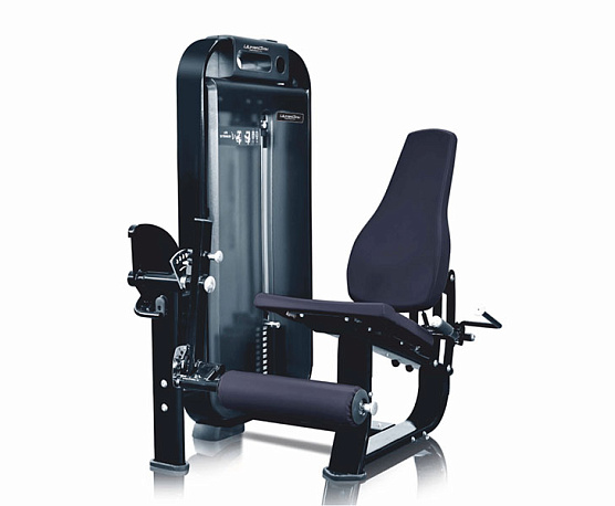 Разгибание ног сидя Ultra Gym UG-DM510