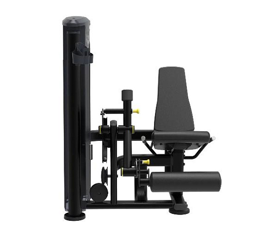 Разгибание ног Aerofit Impulse IT9505 фото1