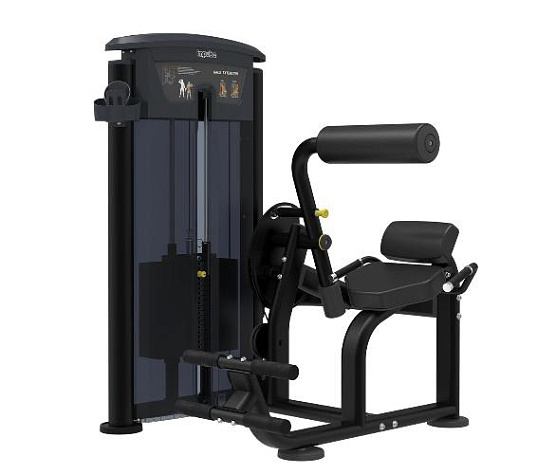 Разгибание спины Aerofit Impulse IT9532