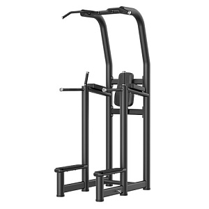 Купить Smith Fitness Excellence Подтягивание/отжимание/поднятие коленей RE6008 в Москве