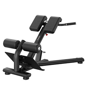 Купить Smith Fitness Excellence Гиперэкстензия (разгибание спины) RE6010 в Москве