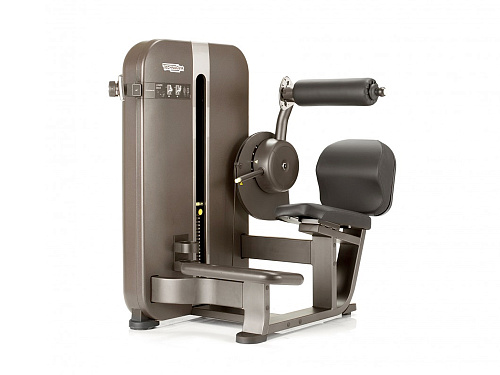 Купить Гиперэкстензия Technogym Artis Lower Back в Москве