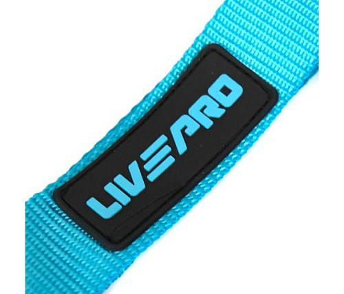 Набор эспандеров эластичных Livepro LP8166