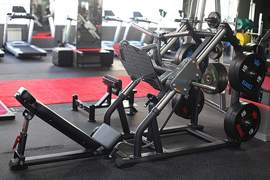 Нагружаемый дисками тренажер Hasttings Digger HD019-2 фото1