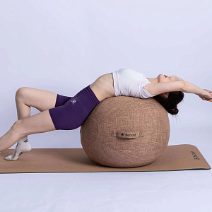 Купить Чехол для мяча Bloom LB7129/BK 65см в Москве