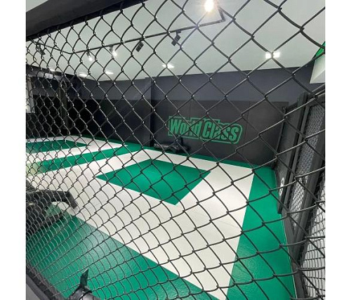 Имитация октагона Targex