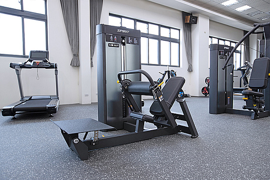 Ягодичный мостик Spirit Fitness SP-4315 фото4