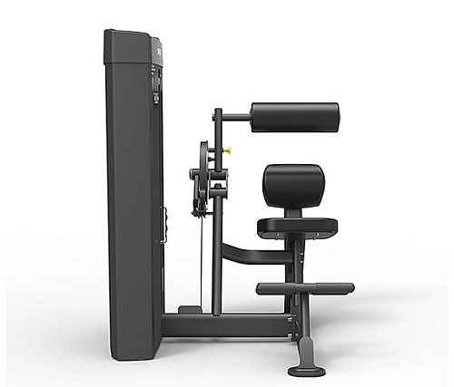 Пресс / разгибание спины Spirit Fitness SP-4609