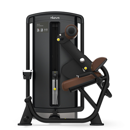 Разгибание спины INTENZA DL-05