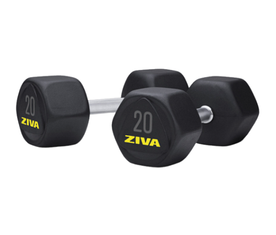 Гантель обрезиненная Ziva 14 кг (пара)