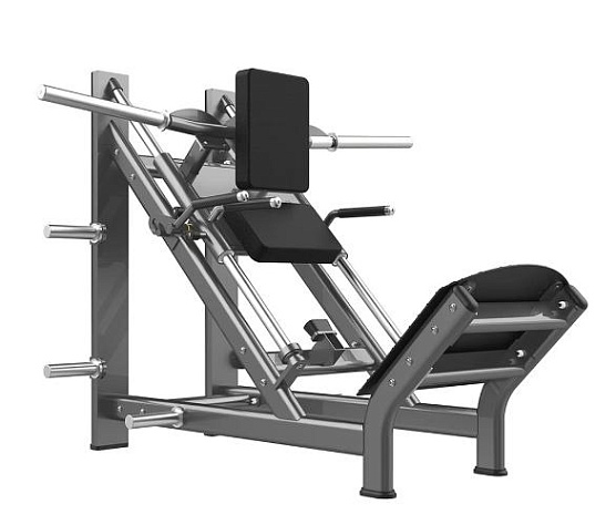 Жим ногами Realleader FM-1024E / Гакк-приседания Realleader FM-1024E (на свободных весах)