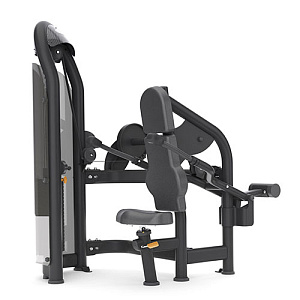 Купить Грузоблочный тренажер на верхнюю часть тела Matrix Fitness Aura G3-S42_02 Отжимания сидя на трицепс в Москве