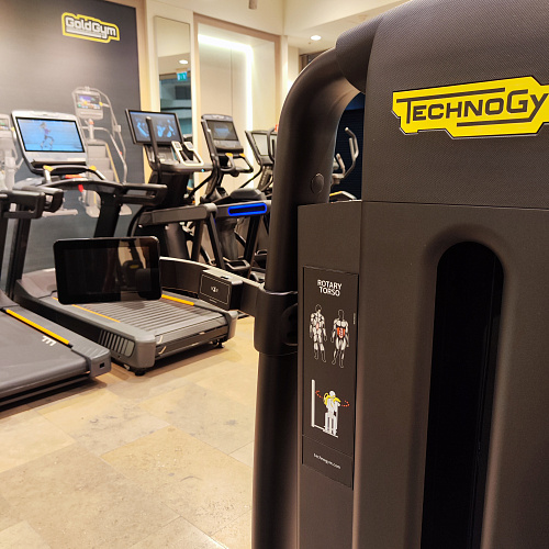 Тренажер для пресса и торса вращение таза Technogym Rotary Torso Selection 900 Unity Mini (витринный образец)