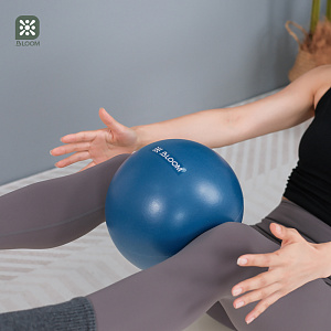 Купить Мяч для пилатеса Bloom LB7002/20/BU 20 см синий в Москве