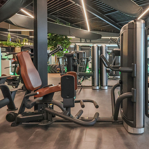 Сведение/Разведение ног INTENZA DL-13