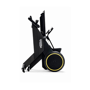 Купить Гребной тренажер Technogym SKILLROW в Москве