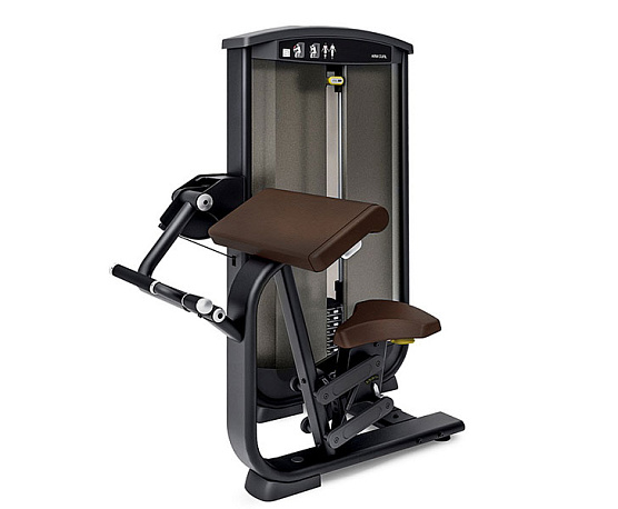 Бицепс (сгибание рук) Intenza BASE EL-01