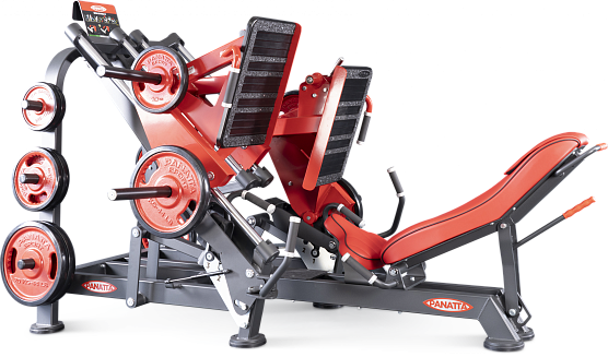Нагружаемый дисками тренажер Panatta FreeWeight Special 1FW090 фото1