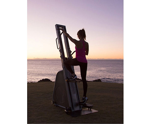 Степпер / Лестница DRAX POWER TOWER SAPT