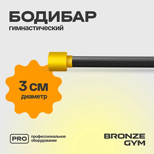 Гимнастическая палка бодибар Bronze Gym, 2 кг