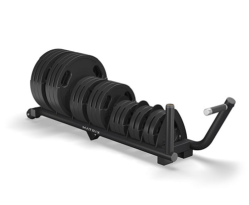 Купить Стойка горизонтальная для весовых дисков Matrix Fitness MG-A301 в Москве