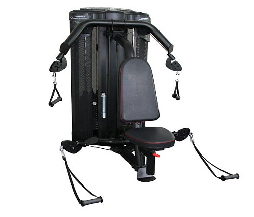 Грудь и плечи Inspire DMCS